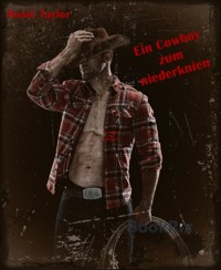 Ein Cowboy zum niederknien - Rosie Taylor - E-Book