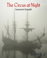 The Circus at Night - Savannah Stampfli - E-Book