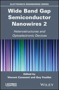 Wide Band Gap Semiconductor Nanowires 2 -  - E-Book