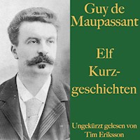 Guy de Maupassant: Elf Kurzgeschichten - Guy de Maupassant - Hörbuch