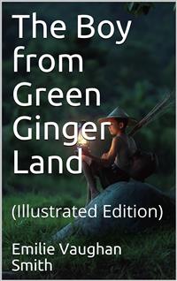 The Boy from Green Ginger Land - Smith - E-Book