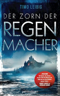 Der Zorn der Regenmacher - Timo Leibig - E-Book