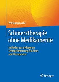 Schmerztherapie ohne Medikamente - Wolfgang Laube - E-Book