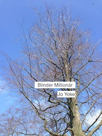 Blinder Millionär - Jo Yoke - E-Book
