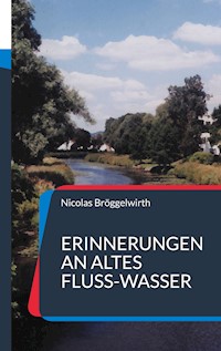 Erinnerungen an altes Fluss-Wasser - Nicolas Bröggelwirth - E-Book