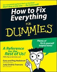 How to Fix Everything For Dummies - Gary Hedstrom - E-Book