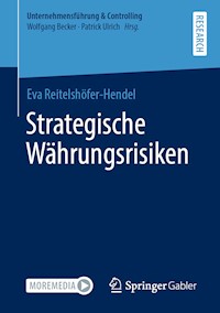 Strategische Währungsrisiken - Eva Reitelshöfer-Hendel - E-Book