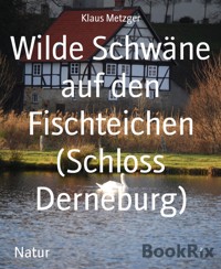 Wilde Schwäne auf den Fischteichen (Schloss Derneburg) - Klaus Metzger - kostenlos E-Book