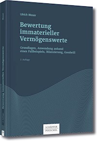 Bewertung immaterieller Vermögenswerte - Ulrich Moser - E-Book