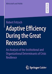 Adaptive Efficiency During the Great Recession - Robert Fritzsch - E-Book
