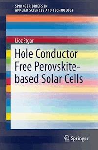 Hole Conductor Free Perovskite-based Solar Cells - Lioz Etgar - E-Book