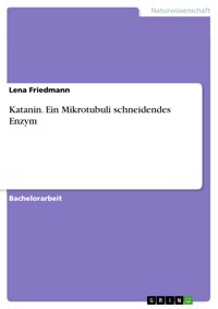 Katanin. Ein Mikrotubuli schneidendes Enzym - Lena Friedmann - E-Book