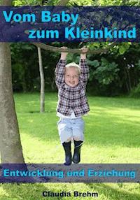 Vom Baby zum Kleinkind – Entwicklung und Erziehung - Claudia Brehm - E-Book