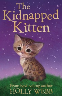 The Kidnapped Kitten - Holly Webb - E-Book
