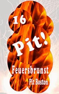Pit! Feuersbrunst - Pit Boston - E-Book