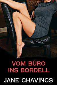 Vom Büro ins Bordell - Jane Chavings - E-Book