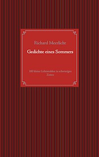Gedichte eines Sommers - Richard Meerlicht - E-Book