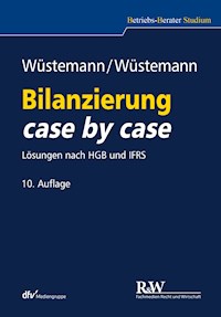Bilanzierung case by case - Jens Wüstemann - E-Book