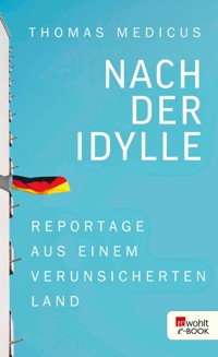Nach der Idylle - Thomas Medicus - E-Book