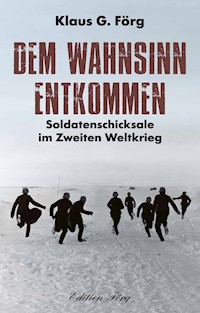 Dem Wahnsinn entkommen - Klaus G. Förg - E-Book