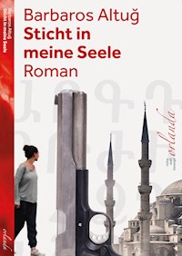 Sticht in meine Seele - Altuğ Barbaros - E-Book