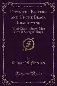 Down the Eastern and Up the Black Brandywine - Wilmer W. Macelree - E-Book