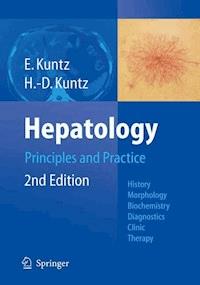 Hepatology, Principles and Practice - Erwin Kuntz - E-Book