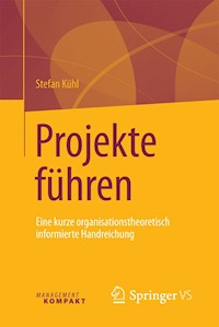 Projekte führen - Stefan Kühl - E-Book