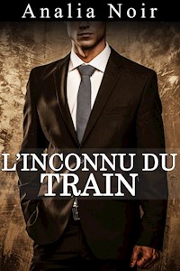 L'Inconnu du Train - Analia Noir - E-Book