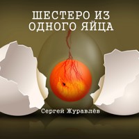 Шестеро из одного яйца - СЕРГЕЙ ЖУРАВЛЁВ - Hörbuch
