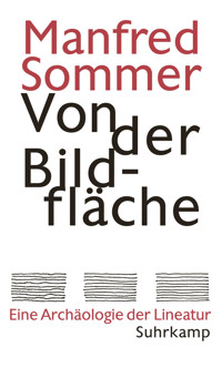 Von der Bildfläche - Manfred Sommer - E-Book