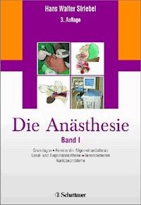 Die Anästhesie - Hans Walter Striebel - E-Book