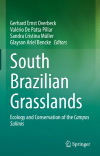 South Brazilian Grasslands -  - E-Book