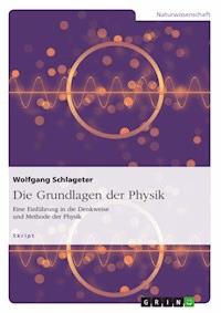 Die Grundlagen der Physik - Wolfgang Schlageter - E-Book