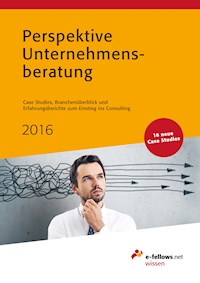 Perspektive Unternehmensberatung 2016 - - E-Book