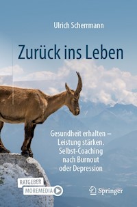 Zurück ins Leben - Ulrich Scherrmann - E-Book