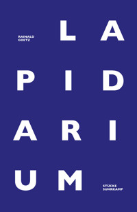 Lapidarium - Rainald Goetz - E-Book
