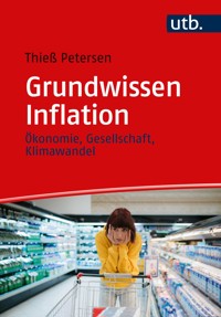 Grundwissen Inflation - Thieß Petersen - E-Book