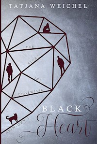 Der Sturz ins Ungewisse - Tatjana Weichel - E-Book