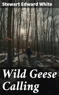 Wild Geese Calling - Stewart Edward White - E-Book