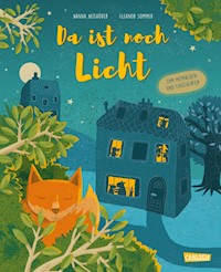 Da ist noch Licht - Nanna Neßhöver - E-Book
