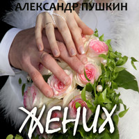 Жених - Aleksandr Pushkin - Hörbuch