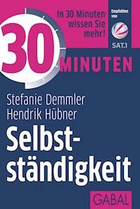 30 Minuten Selbstständigkeit - Stefanie Demmler - E-Book