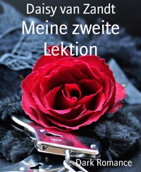 Meine zweite Lektion - Daisy van Zandt - E-Book