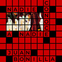 Nadie conoce a nadie - Juan Bonilla - Hörbuch