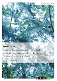 Grünes Klassenzimmer. Der Wald und die Forstwirtschaft im Lehrplan an Schulen in Brandenburg - David Plato - E-Book