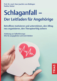 Schlaganfall - Der Leitfaden für Angehörige - Hans Joachim von Büdingen - E-Book