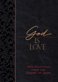 God Is Love - Brian Simmons - E-Book