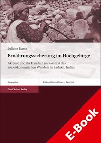 Ernährungssicherung im Hochgebirge - Juliane Dame - E-Book
