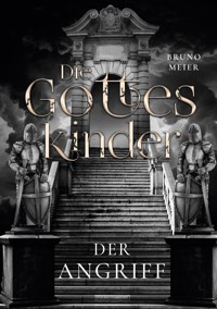 Die Gotteskinder - Bruno Meier - E-Book